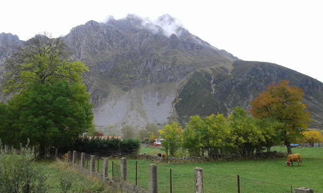 bodon-desde-tolibia-de-abajo