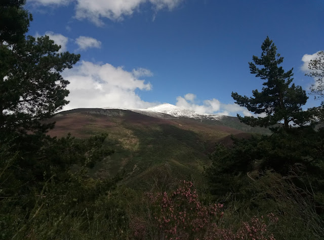 brañacaballo-nevado-2