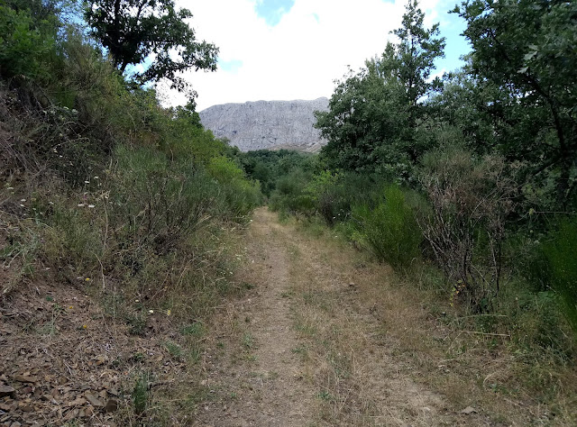 camino-entre-villafeide-y-vegacervera
