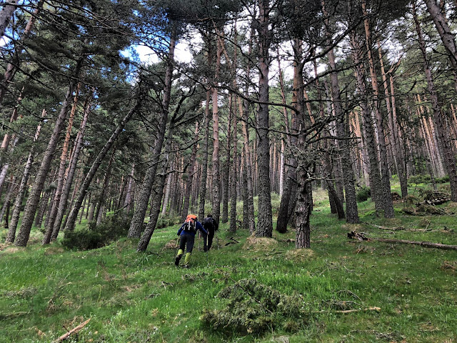 camplongo-peñalaza-8