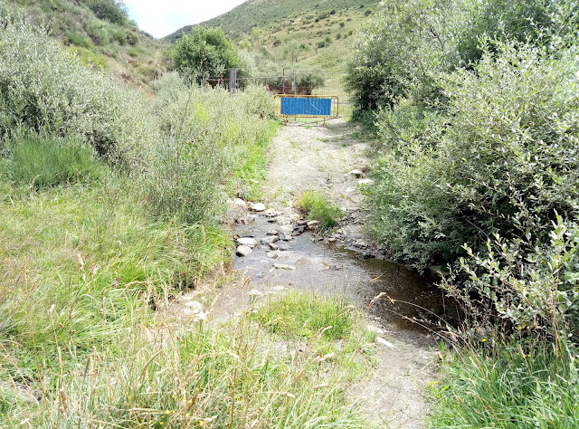 camplongo-pico-estadillo-cruz-camplongo-13