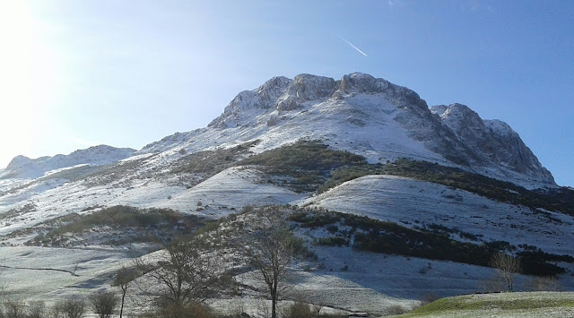 carbona-y-la-calva