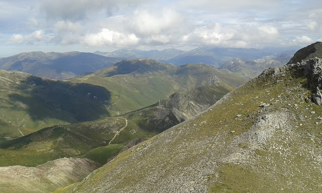 cellon-estorbin-branacaballo-1