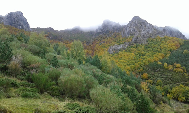 collado-valverde-y-cueto-cabanas
