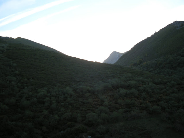 corralon-peña-celleros