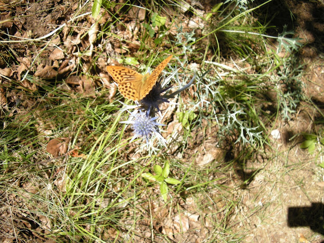 cueto-san-mateo-desde-pola-de-gordon-6