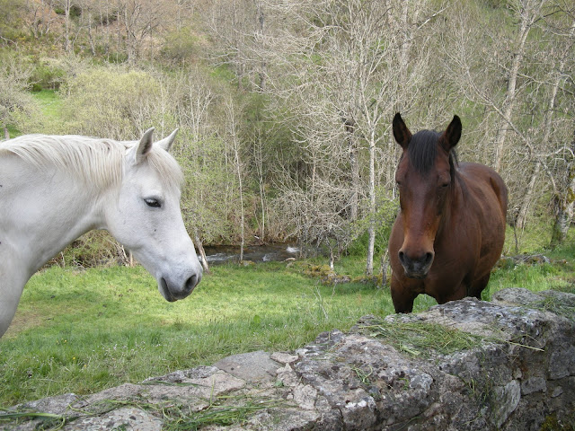 desfiladero-calderones-desde-piedrasecha-19