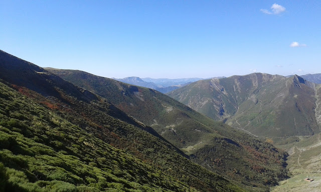 el-fontun