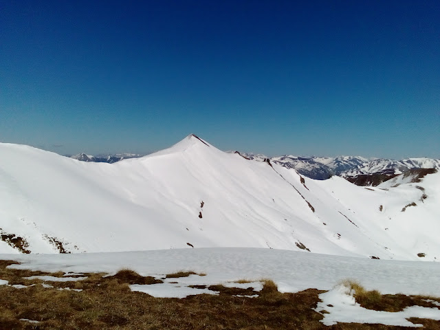 estorbin-de-valverde