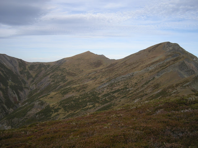 estorbin-y-robequeras