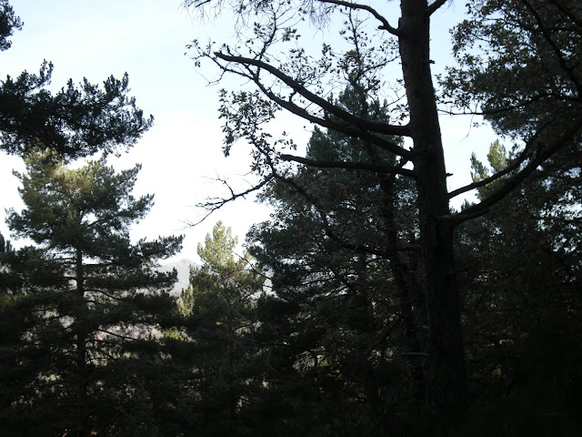 fontañan-desde-pola-gordon-12