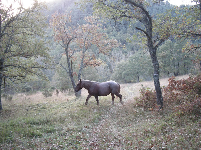 fontañan-desde-pola-gordon-3