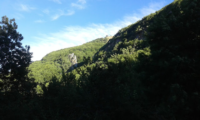 hayedo-boyariza-foz-de-meleros-11