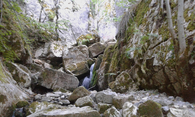 hayedo-boyariza-foz-de-meleros-13