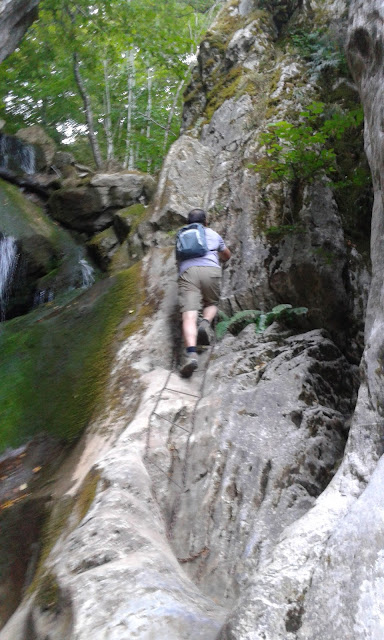 hayedo-boyariza-foz-de-meleros-15