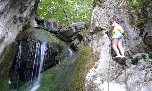 hayedo-boyariza-foz-de-meleros-18