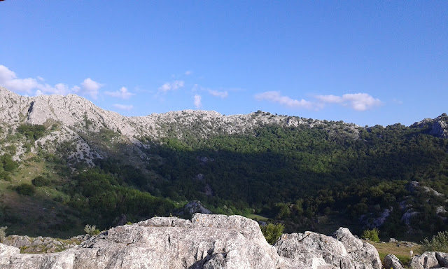 hayedo-de-valporquero