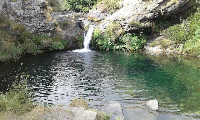 hayedo-pozas-de-canseco-24