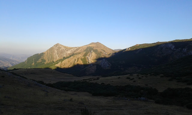 la-silla-y-la-carda