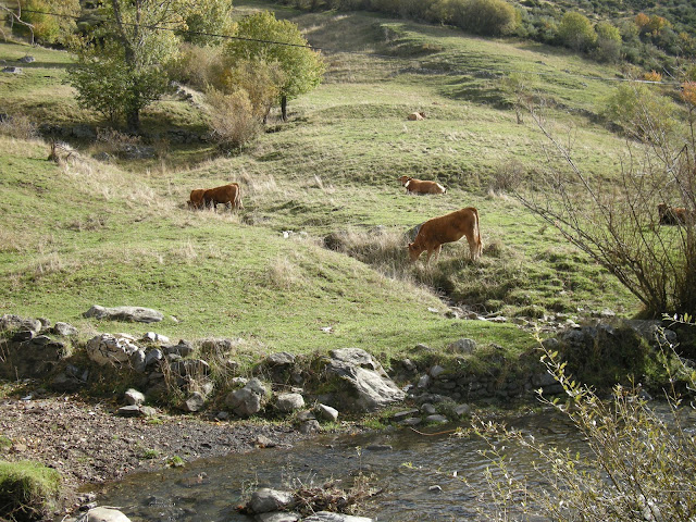 llegando-iglesia-tonin