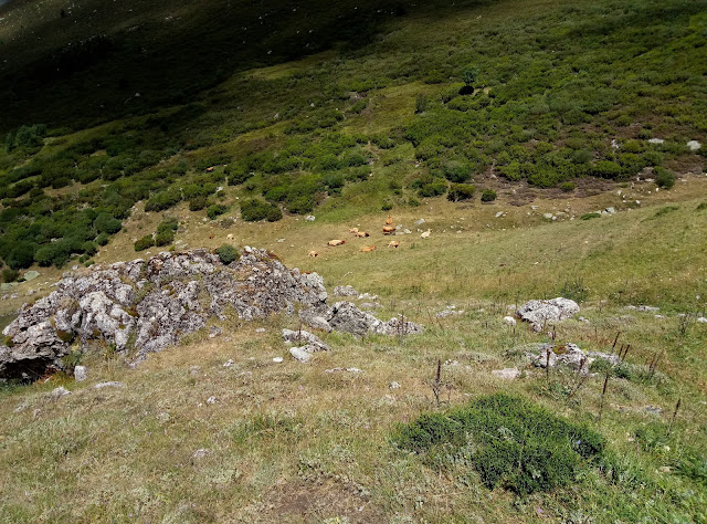 peña-bueyes-desde-villanueva-de-la-tercia-18