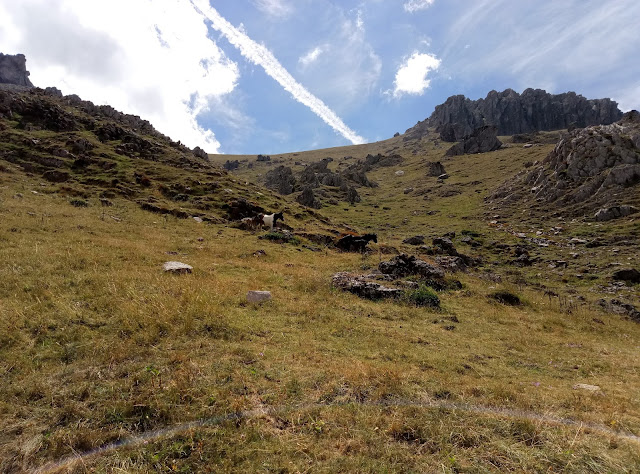 peña-bueyes-desde-villanueva-de-la-tercia-19