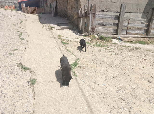 peña-bueyes-desde-villanueva-de-la-tercia-20