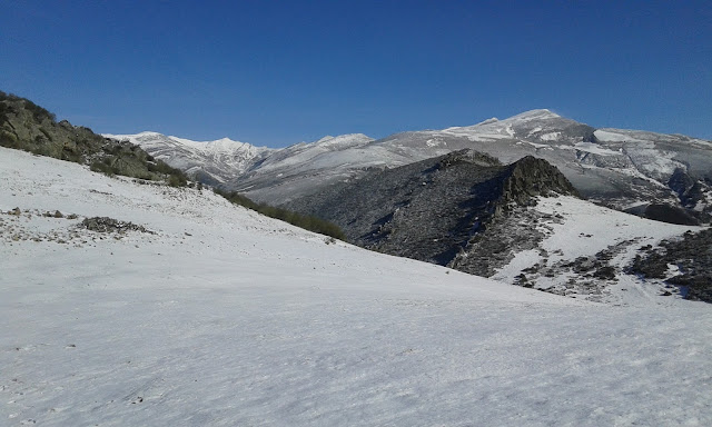 pico-cuadron-estorbin
