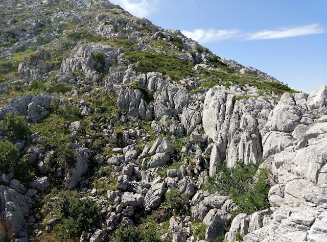 pico-polvoreda-o-correcillas-desde-vegacervera-10