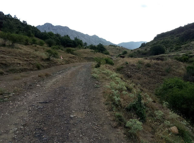 pico-polvoreda-o-correcillas-desde-vegacervera-3