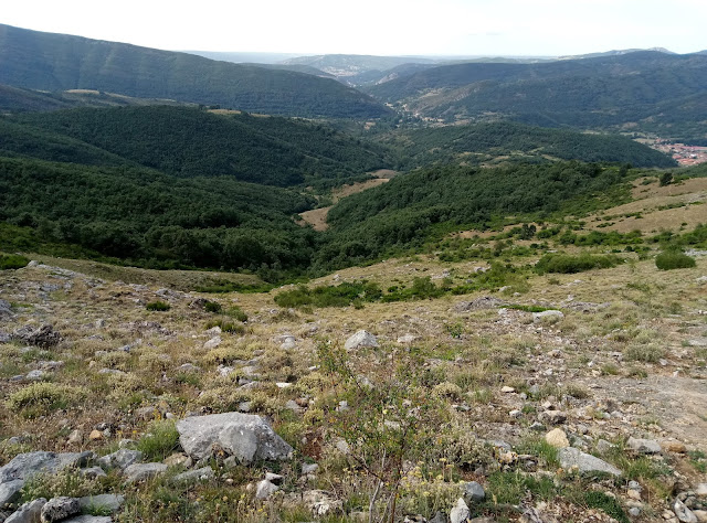 pico-polvoreda-o-correcillas-desde-vegacervera-7
