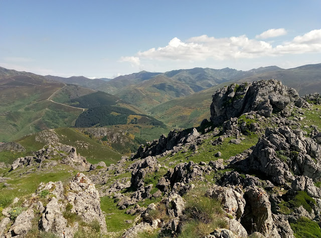 pinar-camplongo-2