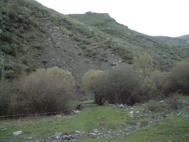 puente-arroyo-del-cuadro