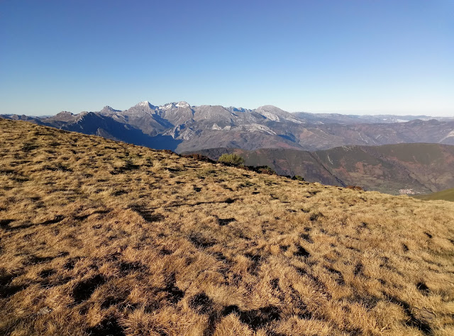 puerto-de-pajares-cellon-camplongo-10
