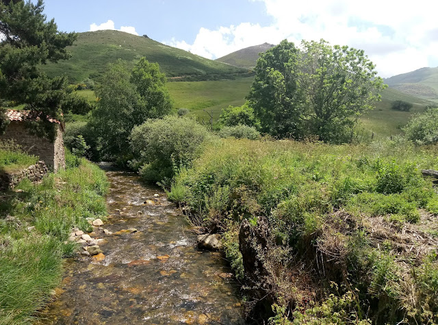 rio-bernesga