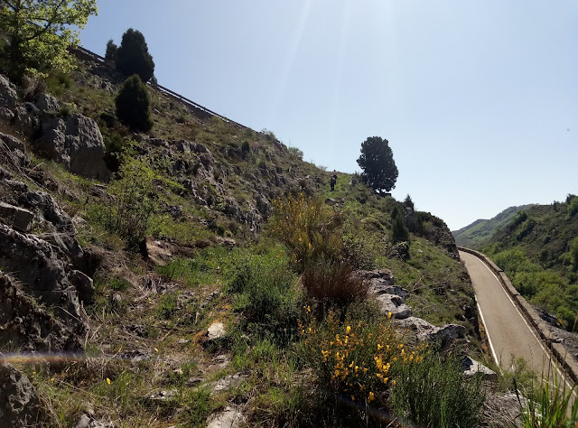 senda-del-celorio-geras-paradilla-25