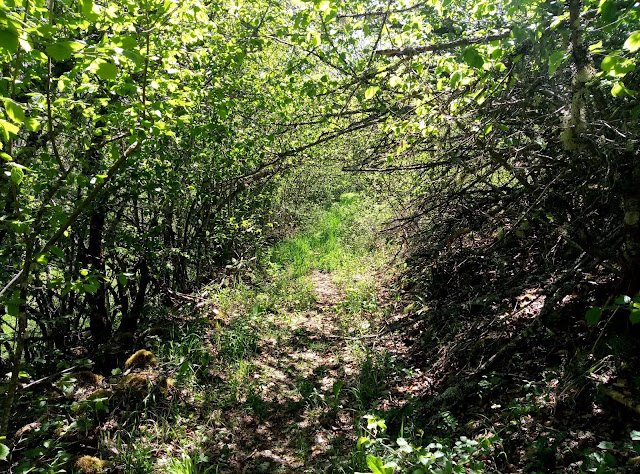 senda-del-celorio-geras-paradilla-28