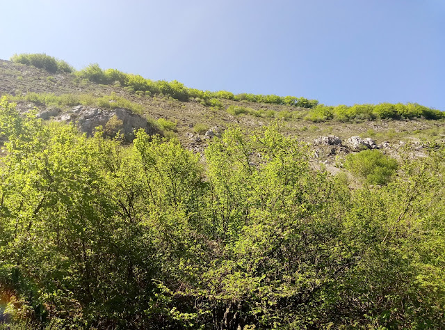 senda-del-celorio-geras-paradilla-29