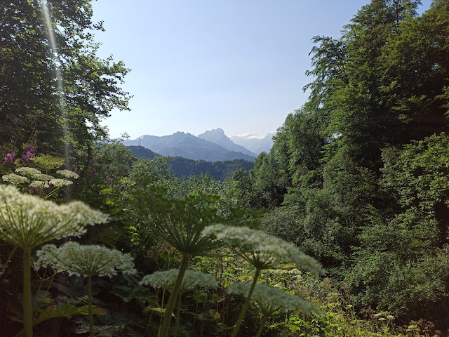 tesa-y-macizo-ubiñas