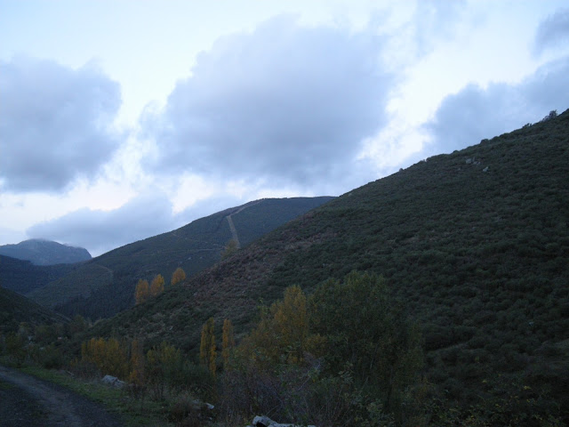 tonin-estorbin-brañacaballo-tonin-2