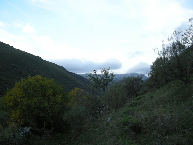 tonin-estorbin-brañacaballo-tonin-3