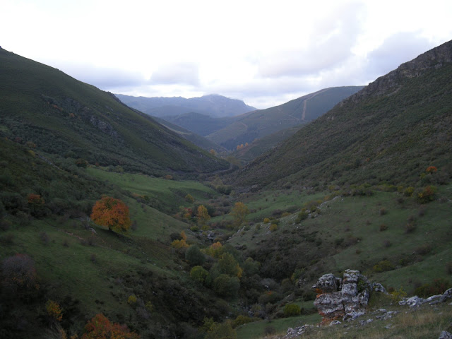 tonin-estorbin-brañacaballo-tonin-4