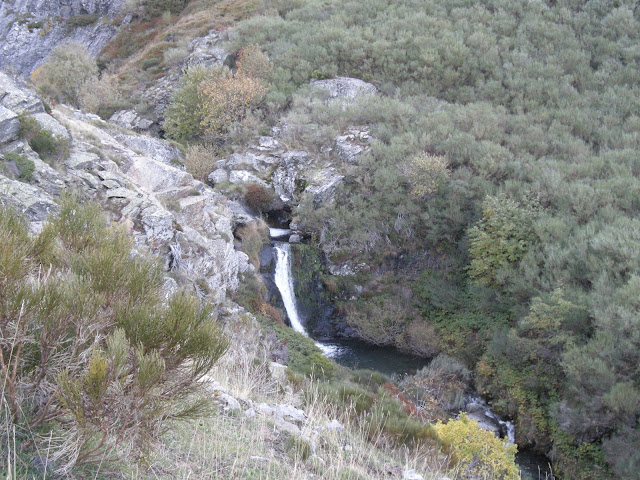 tonin-estorbin-brañacaballo-tonin-5