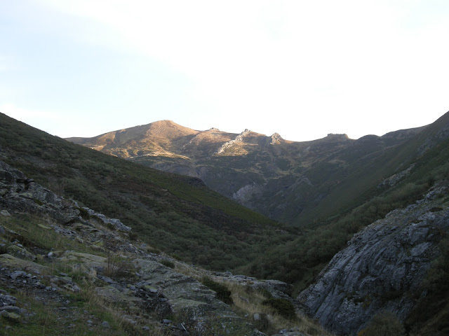 tonin-estorbin-brañacaballo-tonin-6