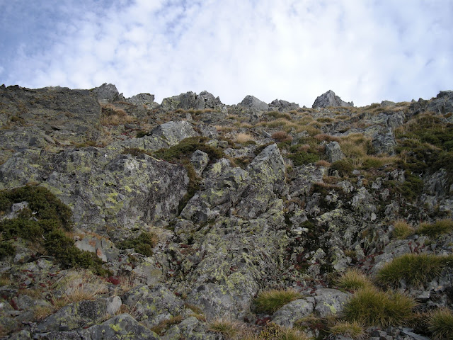 tonin-estorbin-brañacaballo-tonin-7