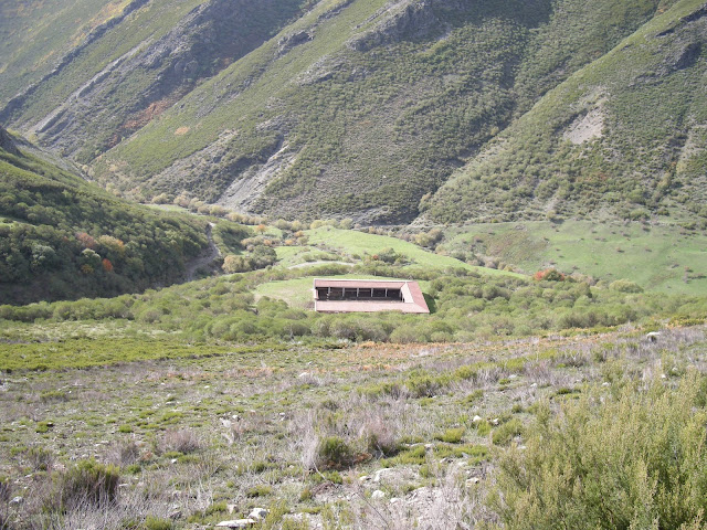 tonin-estorbin-brañacaballo-tonin-9