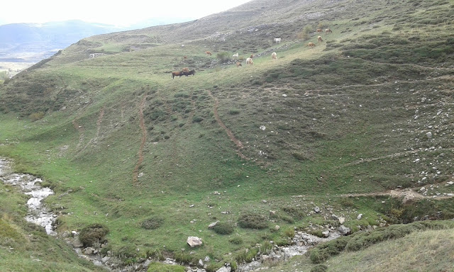 tres-marias-y-pena-esquina-desde-casares-10