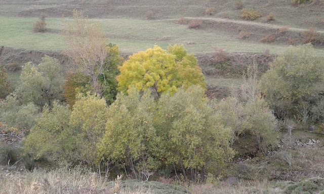 tres-marias-y-pena-esquina-desde-casares-11