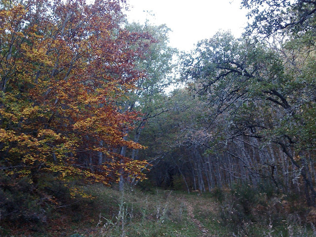 trincheras-de-gordon-4