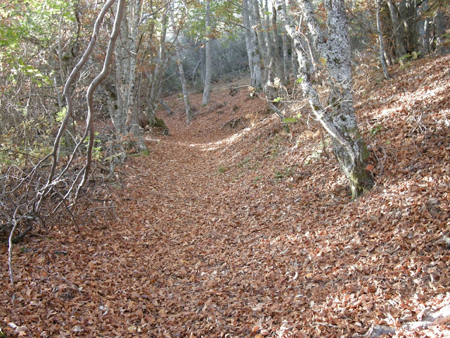 trincheras-de-gordon-7